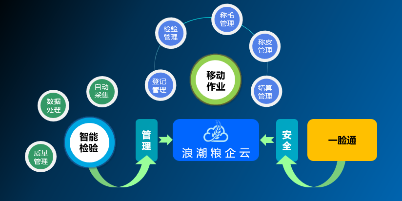 香港六宝典全年资料